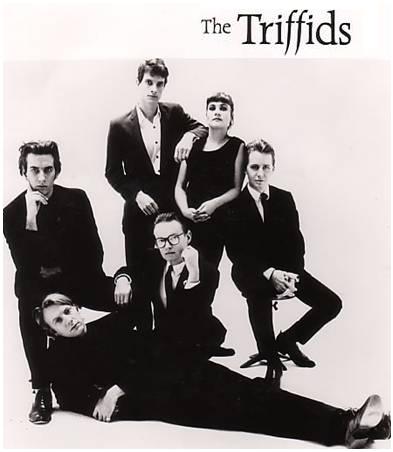 The Triffids