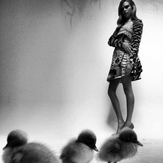 Cara Delevingne Cara Delevingne