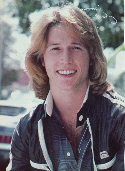 Andy Gibb