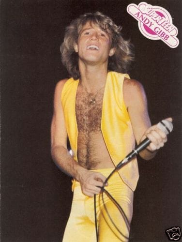 Andy Gibb