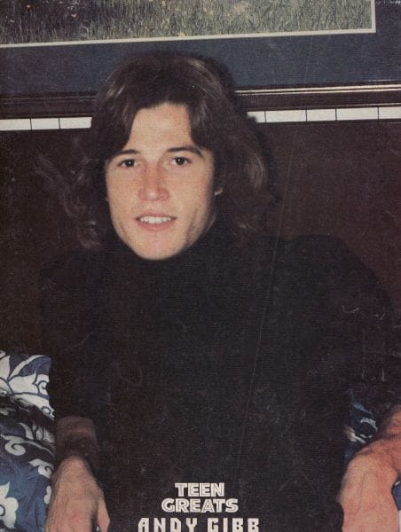 Andy Gibb