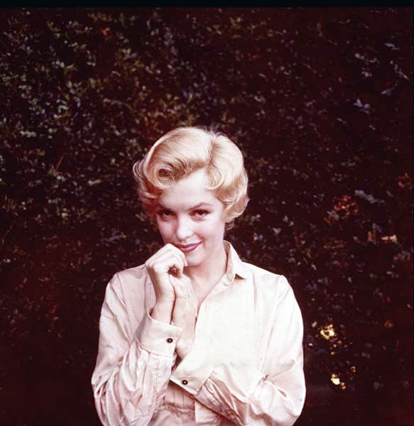 Marilyn Monroe Marilyn Monroe