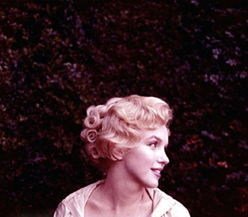 Marilyn Monroe Marilyn Monroe