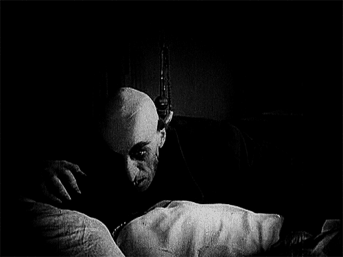 Nosferatu Nosferatu