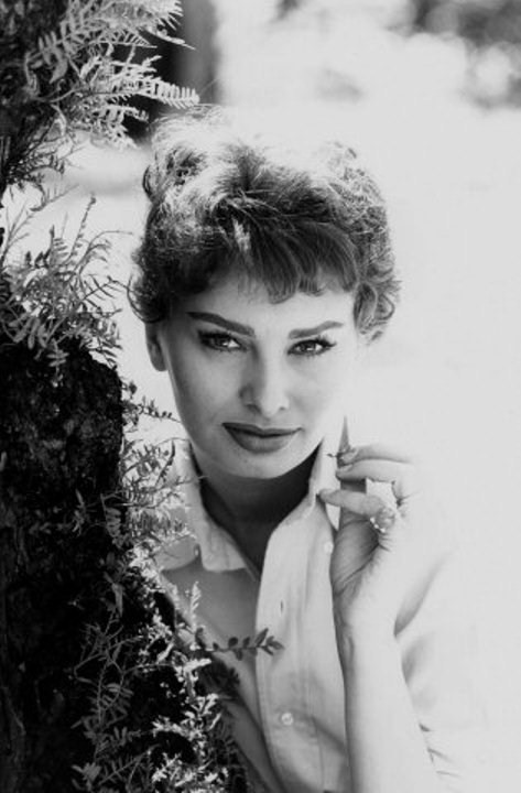 Sophia Loren Sophia Loren