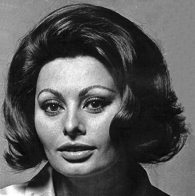Sophia Loren image