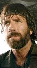 Lone Wolf McQuade