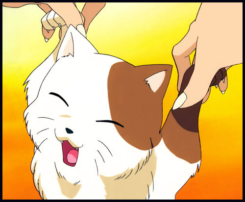 Inuyasha