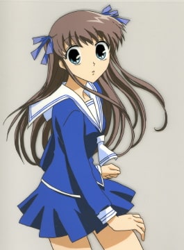 Fruits Basket