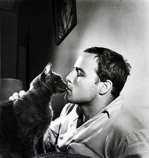 Marlon Brando