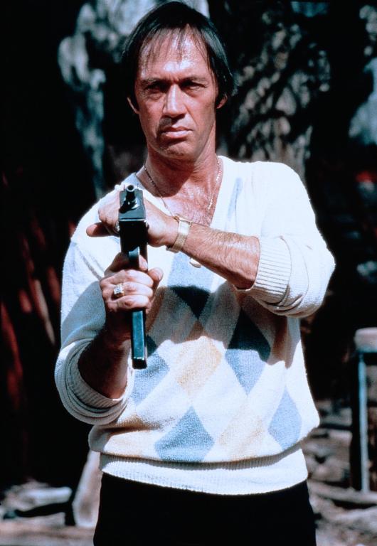 Lone Wolf McQuade