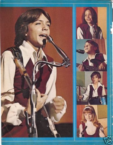 The Partridge Family