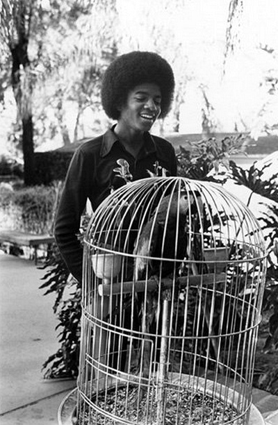 Michael Jackson