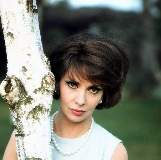 Gina Lollobrigida