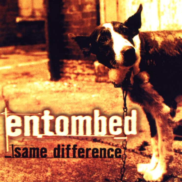 Picture of same difference