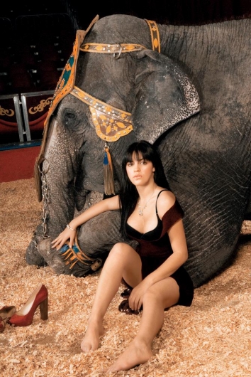 Maite Perroni