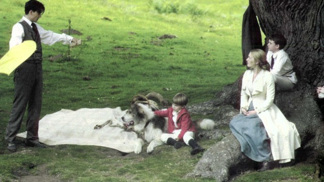 Finding Neverland
