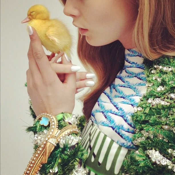 Cara Delevingne Cara Delevingne