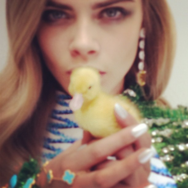 Cara Delevingne Cara Delevingne