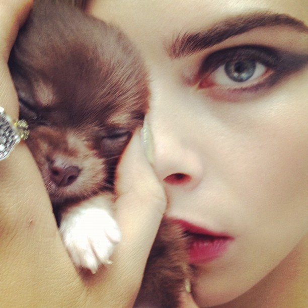 Cara Delevingne