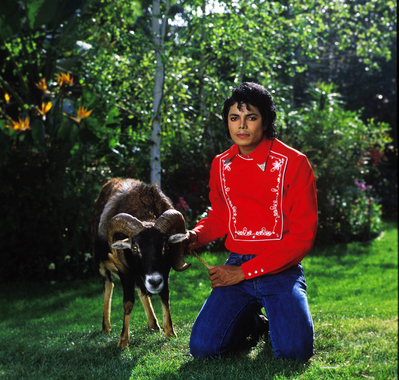 Michael Jackson Michael Jackson