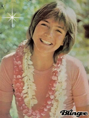 David Cassidy