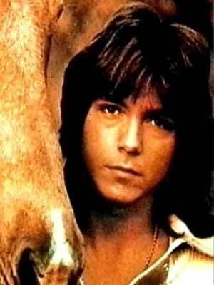 David Cassidy