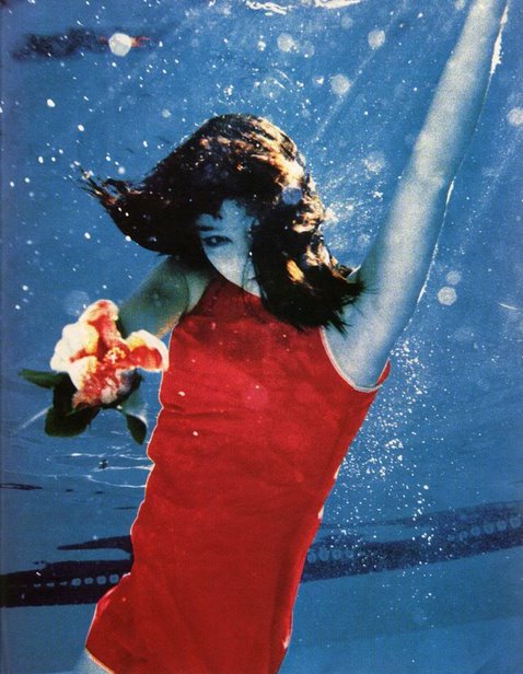 Björk Björk