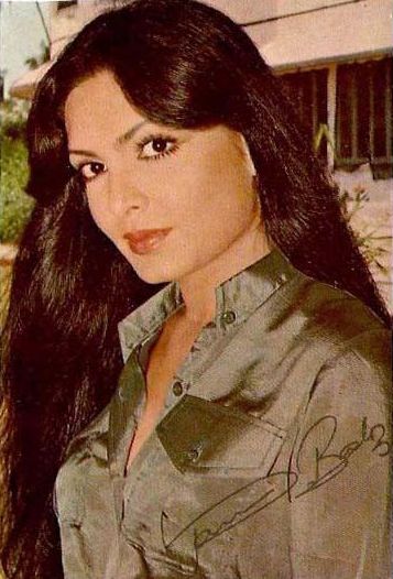 Parveen Babi Parveen Babi