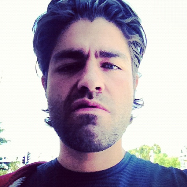 Adrian Grenier