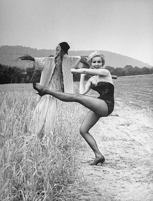 Julie Newmar