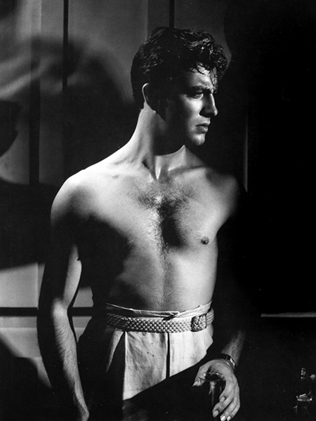 Robert Taylor