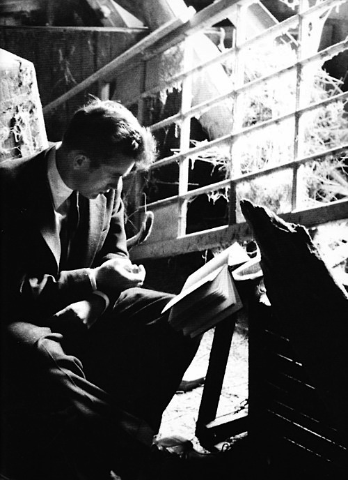 James Dean