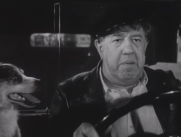 Mister Taxi