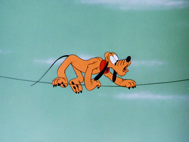 Wonder Dog Wonder Dog