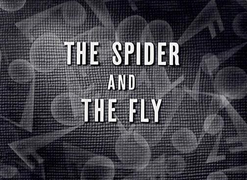 The Spider and the Fly