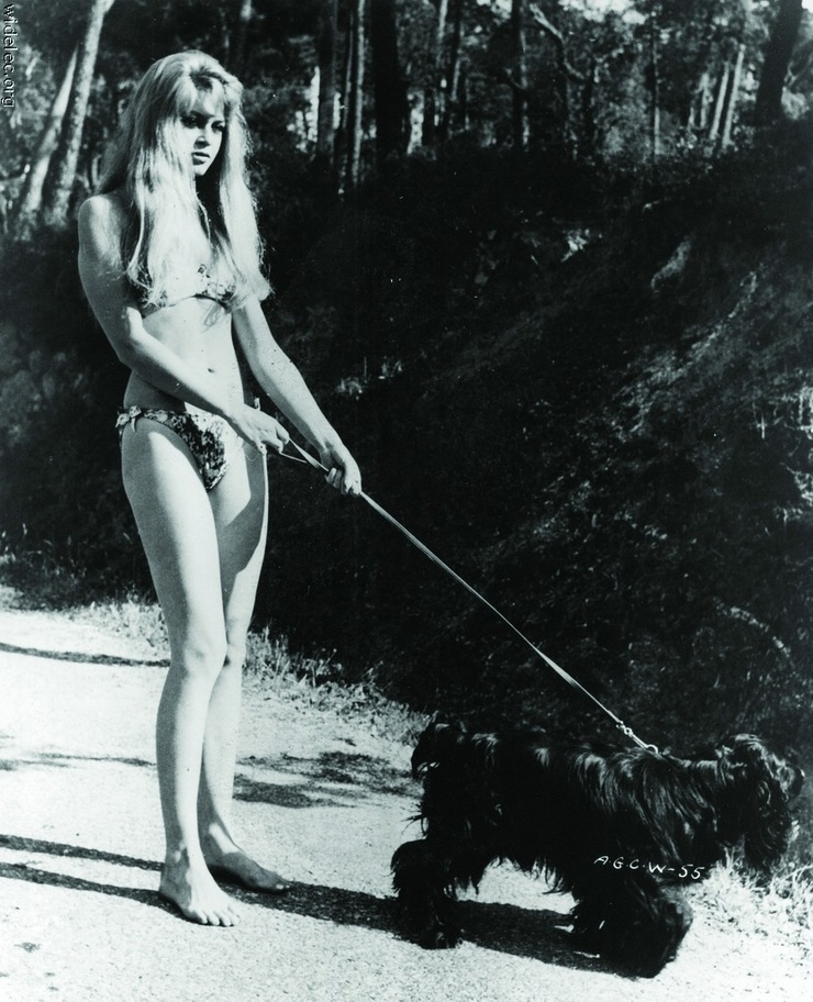 Brigitte Bardot Brigitte Bardot