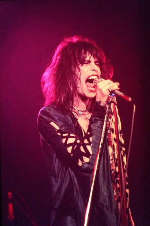Steven Tyler Steven Tyler