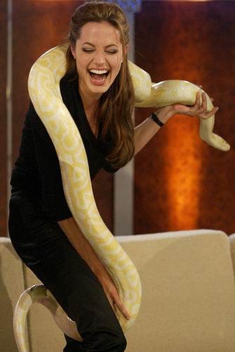 Angelina Jolie Angelina Jolie