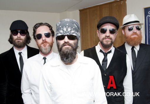 The Eels The Eels