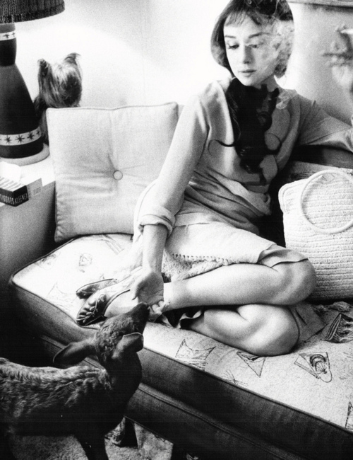 Audrey Hepburn Audrey Hepburn