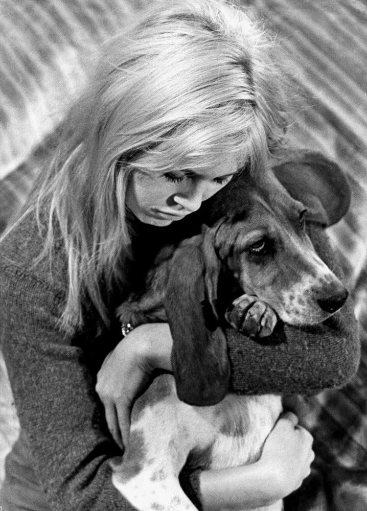 Brigitte Bardot Brigitte Bardot