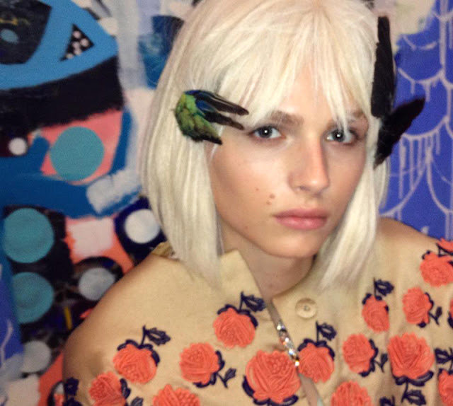 Andrej Pejic