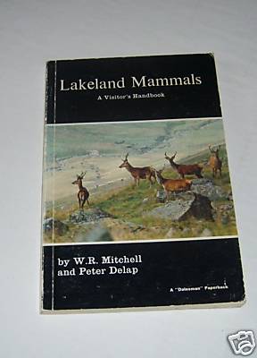Lakeland Mammals