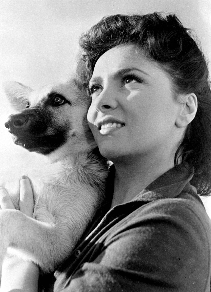 Gina Lollobrigida Gina Lollobrigida