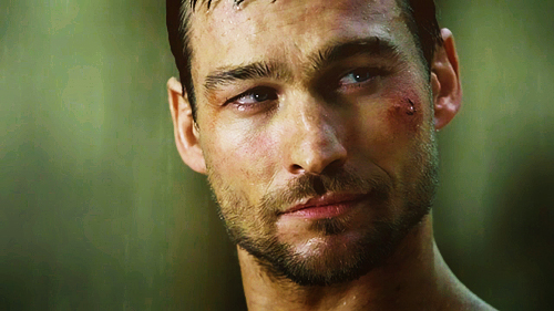 Andy Whitfield Andy Whitfield