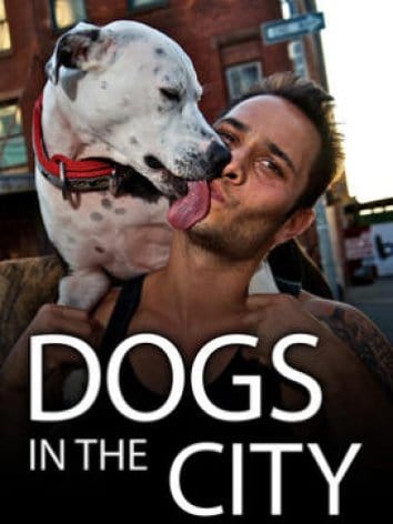 Dogs in the City