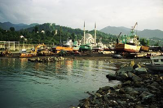 Polluting Paradise
