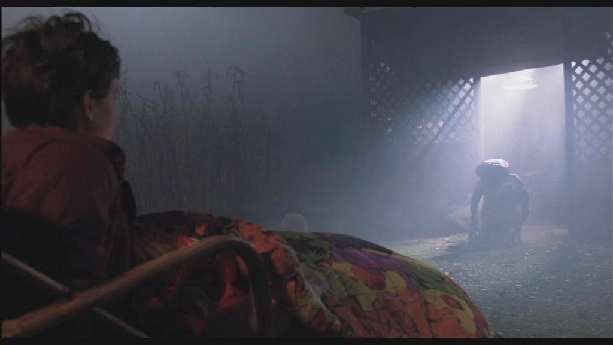 E.T. the Extra-Terrestrial
