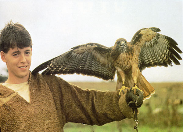 Ladyhawke